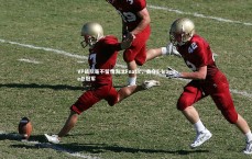 九游体育：VP战队毫不留情淘汰Fnatic，勇夺E-league总冠军