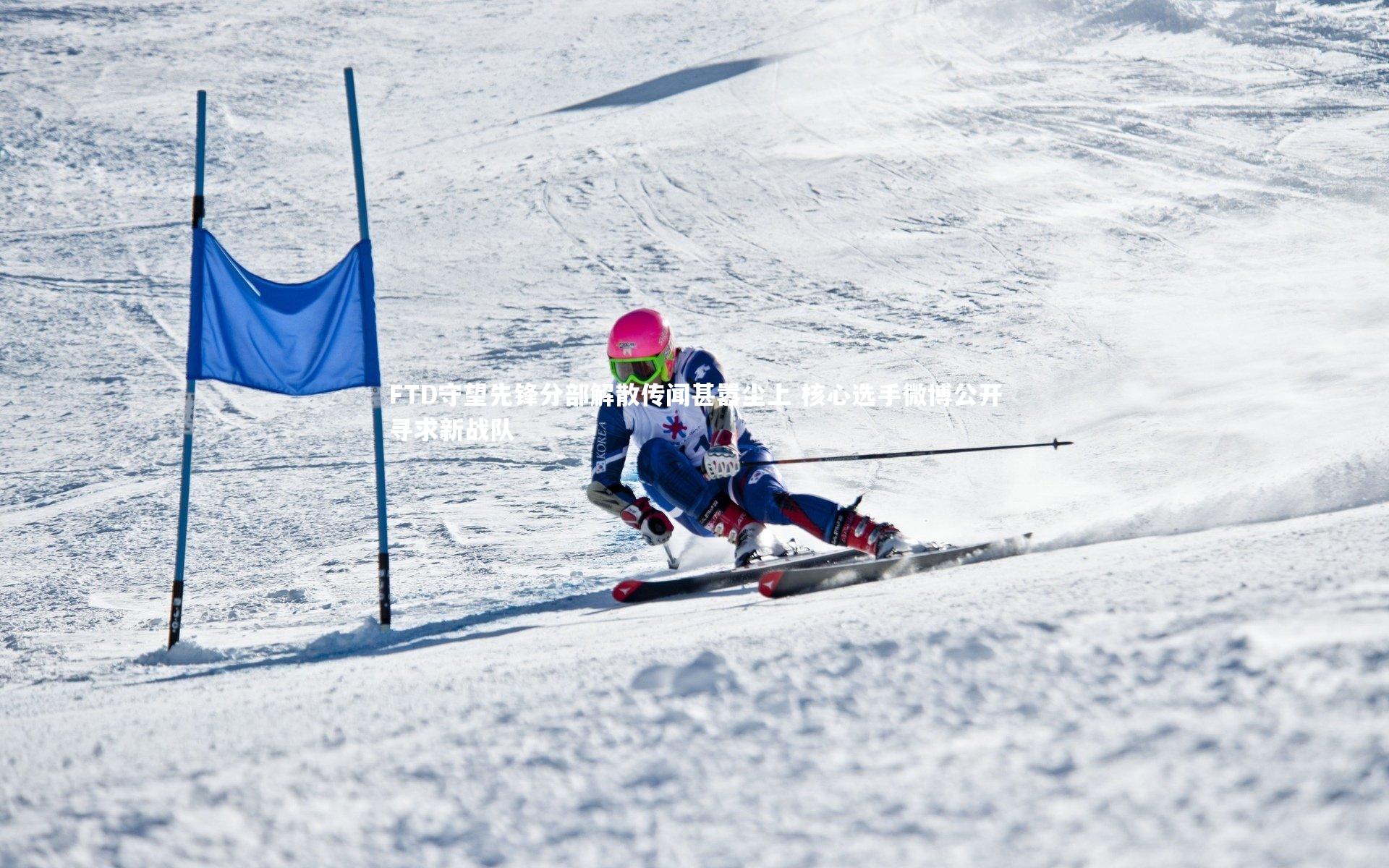 FTD守望先锋分部解散传闻甚嚣尘上 核心选手微博公开寻求新战队